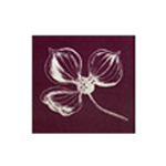 ternum cosmetics logo